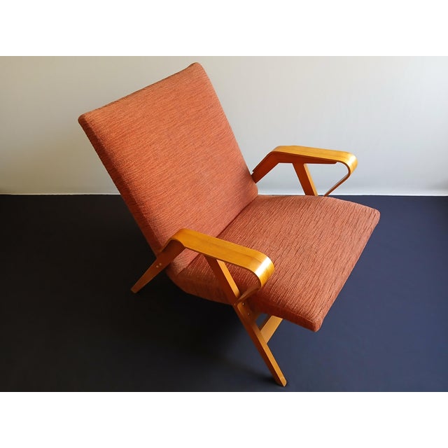 Beech Lounge Chair by Frantisek Jiràk for Tatra Nabytok, Former Czechoslovakia, 1950s For Sale - Image 6 of 17