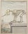 A beautifully rendered etching with hand coloring depicting the skeleton of an elephant on a pedestal. A live elephant,...