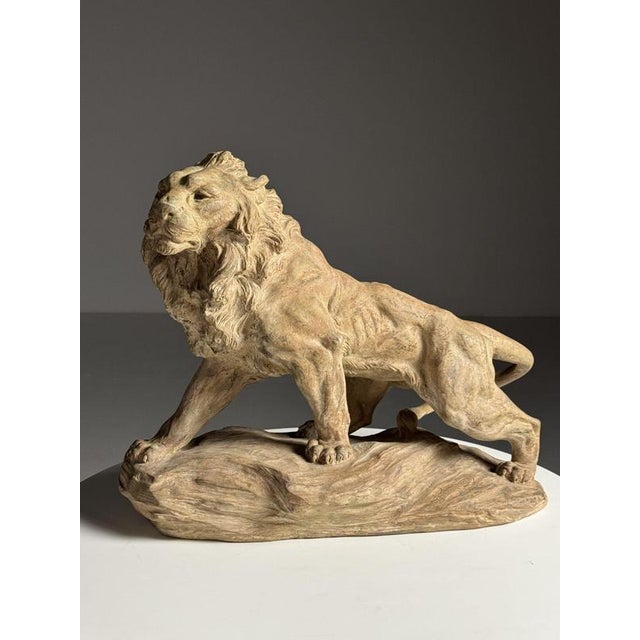 Terra Cotta statue / sculpture of a lion. Late 19th, early 20th century. Beautiful color. The tail was glued at some...