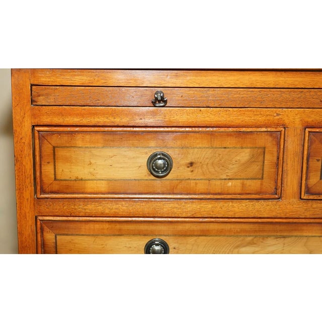 Vintage Burr Yew Wood Bedside Table with Drawers with Butlers Serving Tray For Sale - Image 10 of 18