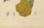 Unknown, Botanical of Buddha's Hand Citron, 1880, Chromolithograph For Sale - Image 5 of 6