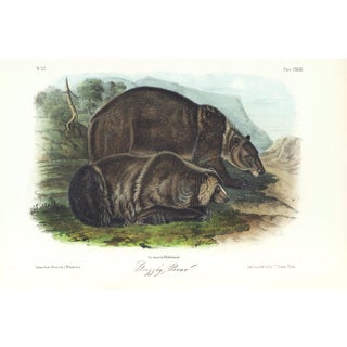 1854 Audubon Quadruped Octavo Lithograph "Plate 131 Grizzly Bear" For Sale