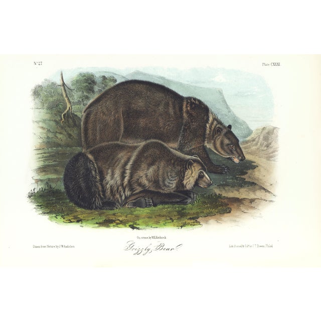1854 Audubon Quadruped Octavo Lithograph "Plate 131 Grizzly Bear" For Sale