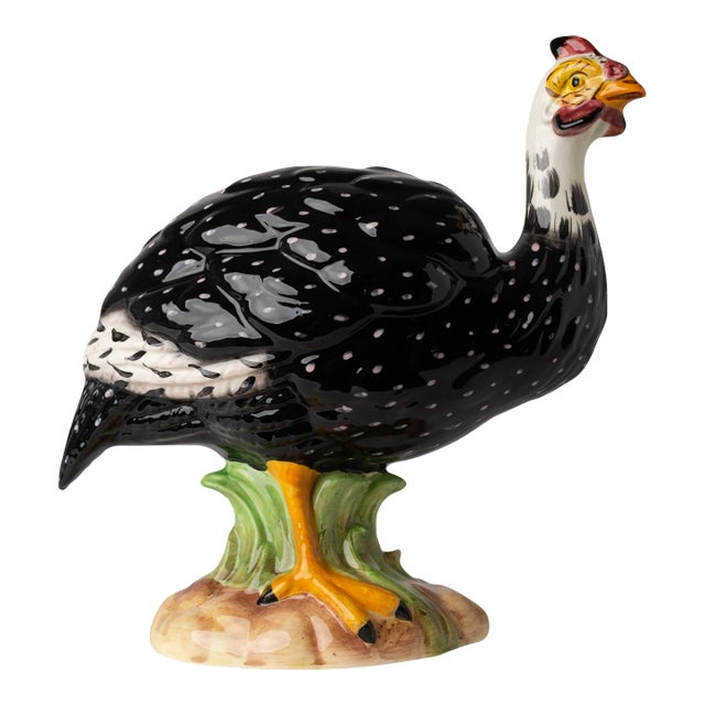 Guinea Hen, Female For Sale