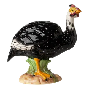 Guinea Hen, Female