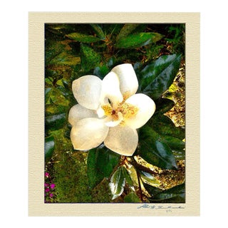 The Smiling Magnolia For Sale