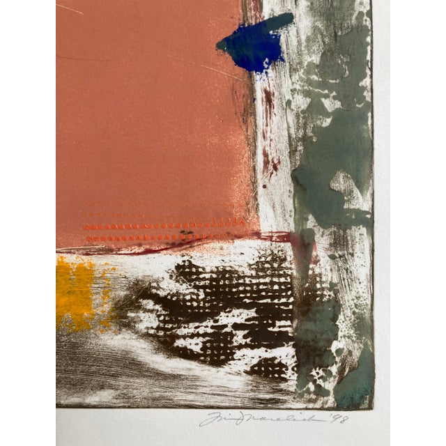 Graffiti Series II Contemporary Lithograph, Santa Cruz Artist Lin Marelick. Framed. For Sale In Monterey, CA - Image 6 of 8