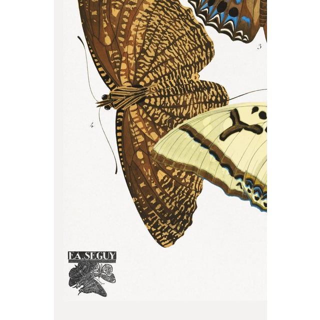 Art Deco Butterflies by E. A. Séguy, Vintage Art Print Reproduction, 16" X 24" For Sale - Image 4 of 11