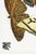 Art Deco Butterflies by E. A. Séguy, Vintage Art Print Reproduction, 16" X 24" For Sale - Image 4 of 11