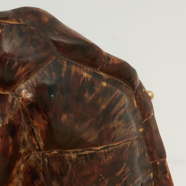 Late 18th Century Antique Organic Turtle Shell For Sale - Image 5 of 10