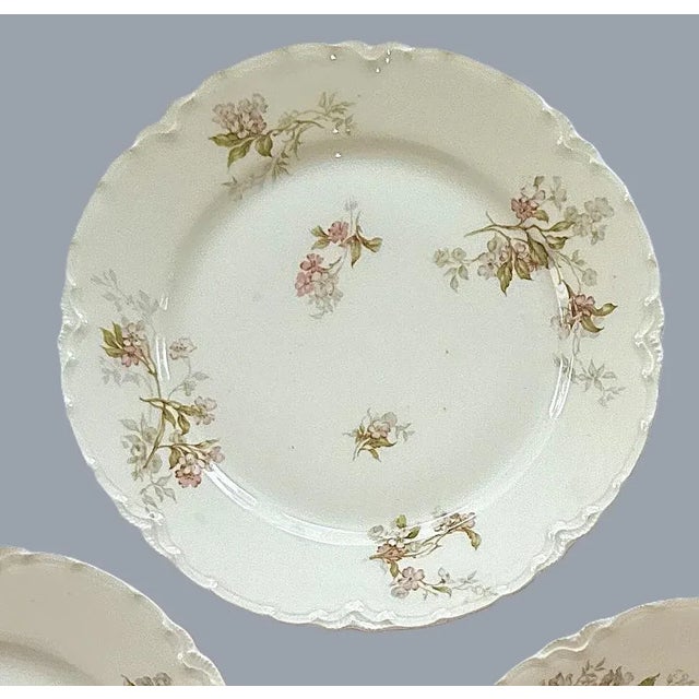 Limoges, France French Limoges Porcelain Floral Plates - 6", 1900's - Set of 4 For Sale - Image 4 of 11