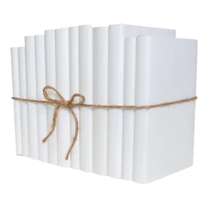 Decorative Books - Reversed Dust Jacket Dust Jacket Book Bundle - 1 Foot of White Books
