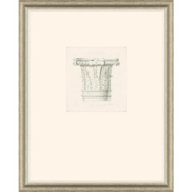 Traditional Colonna III Framed Art Print by David Phoenix For Sale - Image 3 of 3