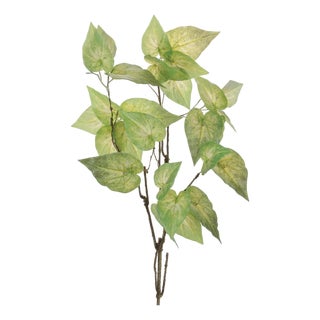 Anthurium Leaf Branch (Set of 4) For Sale