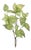 Anthurium Leaf Branch (Set of 4) For Sale