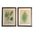 Set of Two 19th Century English Victorian Nature Printed Ferns in Custom Gilt Carved Wood Frames For Sale