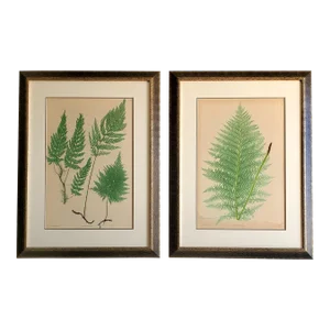 Set of Two 19th Century English Victorian Nature Printed Ferns in Custom Gilt Carved Wood Frames