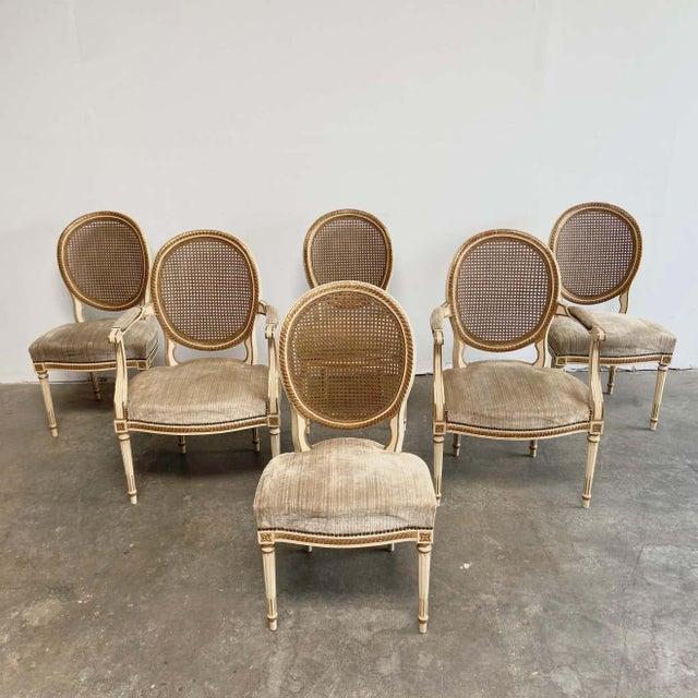 Set of 6 Antique French Style Cane Back Dining Chairs Chairish