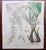 Mid 19th Century Botanical Prints, 1837, Paper, Set of 9 For Sale - Image 5 of 11
