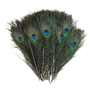 Peacock Feather Decor, 50 Piece