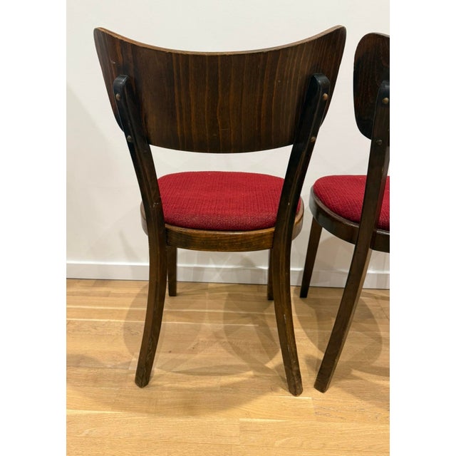 1980s Mid-Century Dining Chairs from Tatra, 1980s, Set of 4 For Sale - Image 5 of 8