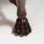 English 19th Century British Chestnut Brown Ceylon George I Colonial Chair with Rattan Seat For Sale - Image 3 of 15