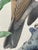 Cream 1950s Song Thrush Watercolour by Charles F. Tunnicliffe For Sale - Image 8 of 16
