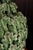 A stunning ceramic vase from Manises, whose luminous green glaze creates a striking effect. Completely covered with a...