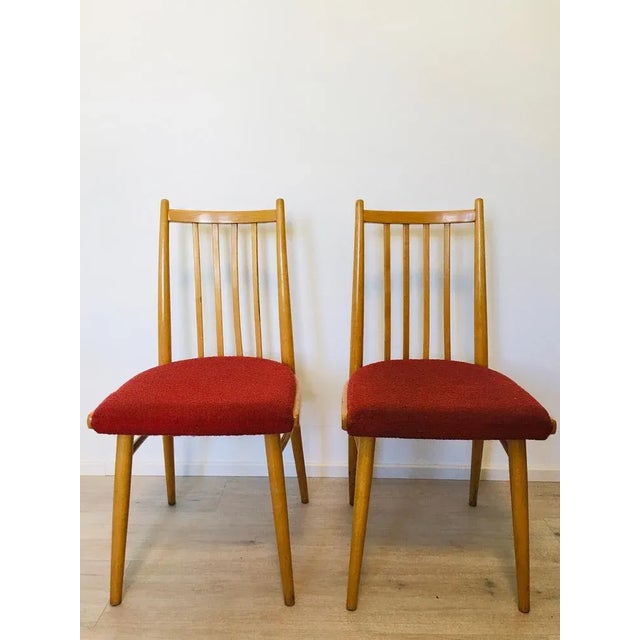 Set of Mid-Century Czech Light Blue Dining Chairs from TON For Sale - Image 16 of 16