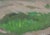 Ukrainian Impressionist Landscape Painting, 1970s Soviet Art 35-50 For Sale - Image 6 of 6