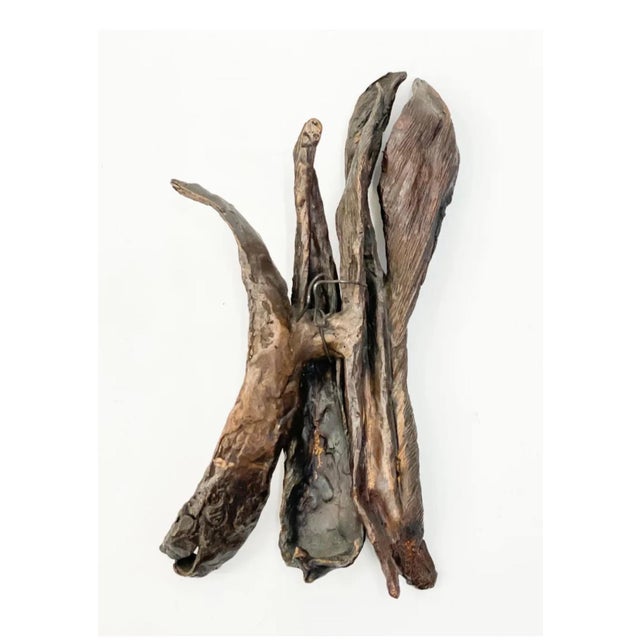 Modern Seena Donneson, Cast Bronze Organic Husk Wall Mounted Abstract Textured Sculpture Seena Donneson For Sale - Image 3 of 5