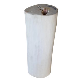 Andrianna Shamaris Super Smooth White and Black Petrified Wood Side Table For Sale