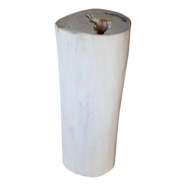 Andrianna Shamaris Super Smooth White and Black Petrified Wood Side Table For Sale