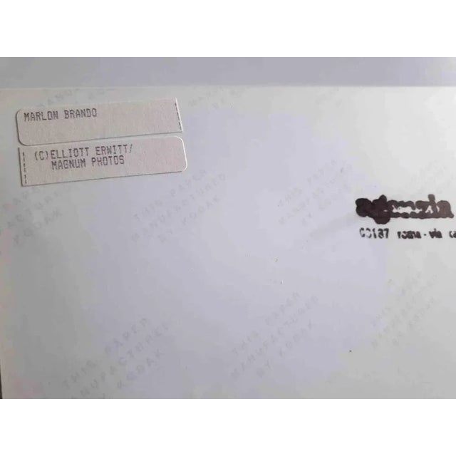 Vintage b/w photograph realized by Elliott Erwitt in 1960s. Copyright: Magnum Photos/Agenzia Contrasto. Excellent...