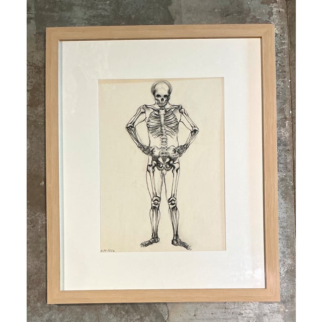 Vintage Framed Skeleton Study on Paper For Sale - Image 9 of 12