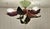 3-Light Florentine Ceiling Lamp with Colored Metal Frame, 1980s For Sale - Image 3 of 8