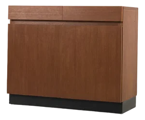 Vintage Cabinet by Dieter Waeckerlin