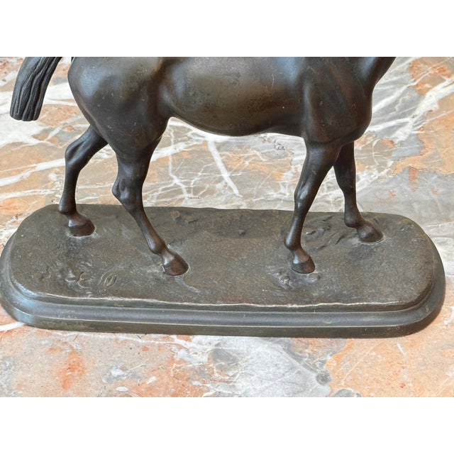 Late 19th Century English Cast Bronze Horse For Sale - Image 6 of 7