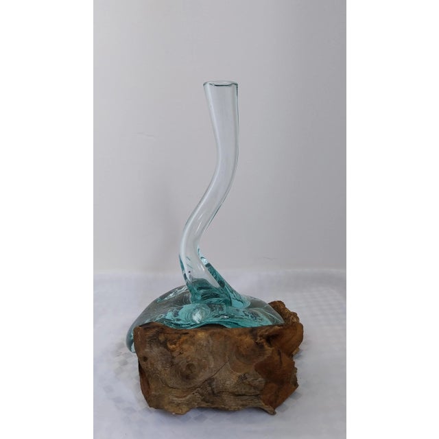 Gamal Root Tree Glass Vase, 2010s For Sale - Image 3 of 9