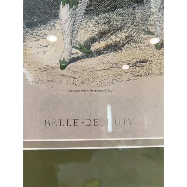 Grandville Belle-De-Nuit Hand-Colored Engraving Les Fleurs Animees For Sale - Image 9 of 15
