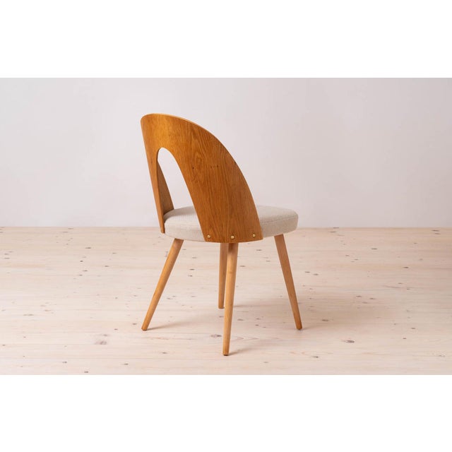 Mid-Century Dining Chairs attributed to A. Suman, 1960s, Set of 10 For Sale - Image 12 of 18