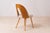 Mid-Century Dining Chairs attributed to A. Suman, 1960s, Set of 10 For Sale - Image 12 of 18