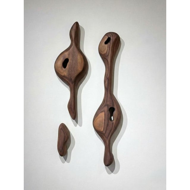 Cortex 8, American Walnut, Sculpture by Camille De Prêtre Dimensions: W 40 x D 5 x H 70 cm. Materials: American Walnut.