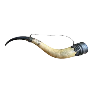Trophy Horn Circa 1897 Steer Horn