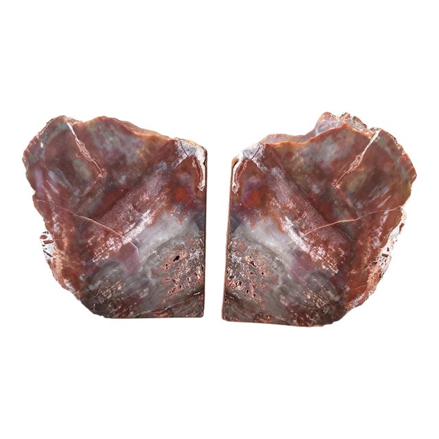 Large Vintage Petrified Wood Symmetrical Bookends With Reds, Browns, Whites, Grays For Sale