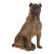 16.5” Antique Austrian Terracotta Pug Dog Sculpture W Glass Eyes For Sale