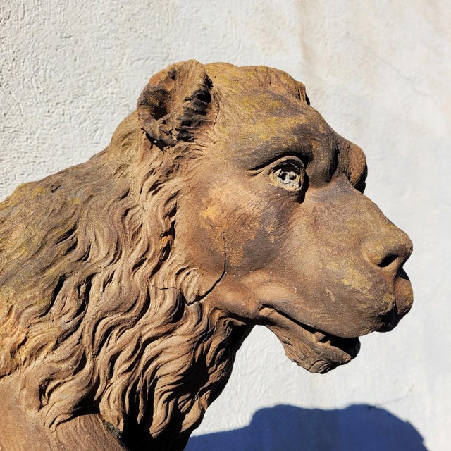 Lion Sculpture in Terracotta, 1800s For Sale - Image 3 of 18