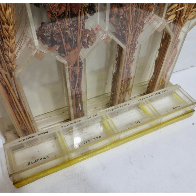 Mid-Century Modern Russian Soviet Era Agricultural Display Dated 1952 For Sale - Image 3 of 8