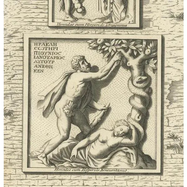 Volckamer, Hercules in the Garden of Hesperides, 1710, Print For Sale - Image 4 of 5