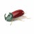 Rhinoceros Beetle Sculpture by Mambo Unlimited Ideas For Sale - Image 16 of 16